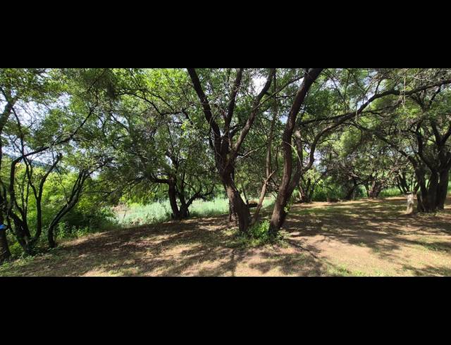 17.90HA FARM FOR SALE IN BRITS RURAL
